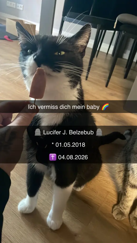 Bild von Lucifer