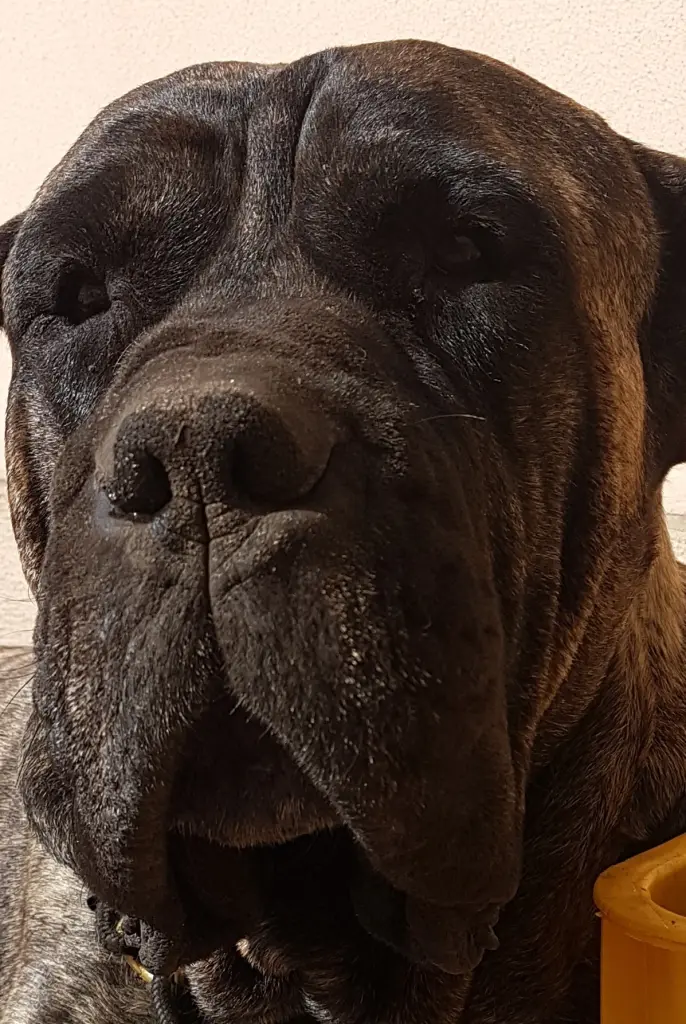 Condolence image of Mandy
