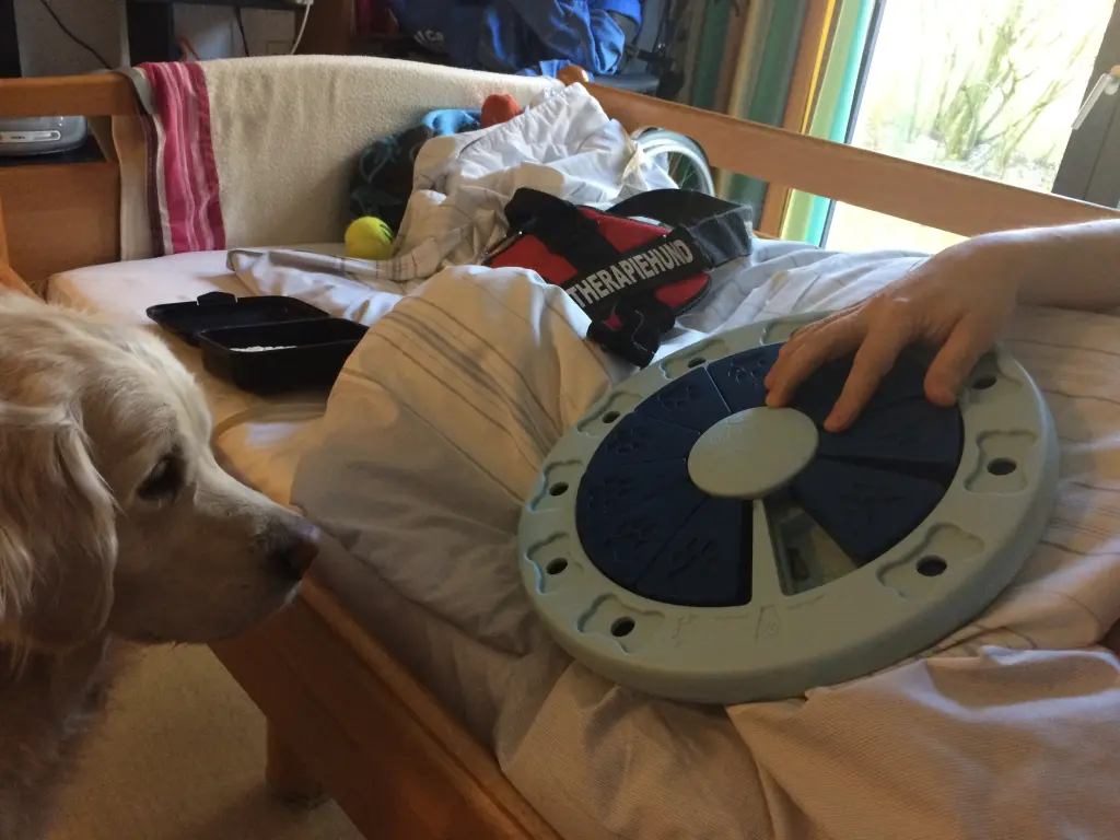 Andachtsbild von Unbekannt