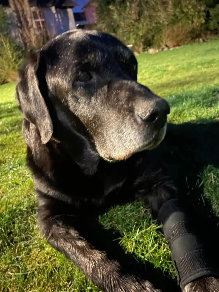 Andachtsbild von Annette