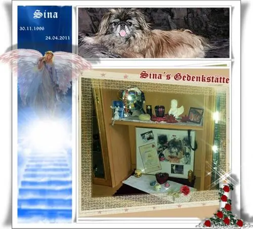 Image from dich meine Sina-Maus