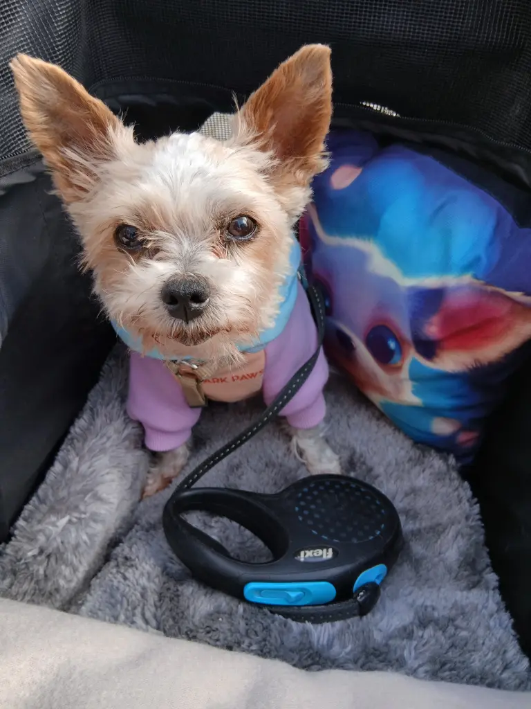 Lilly mit 12 Jahren