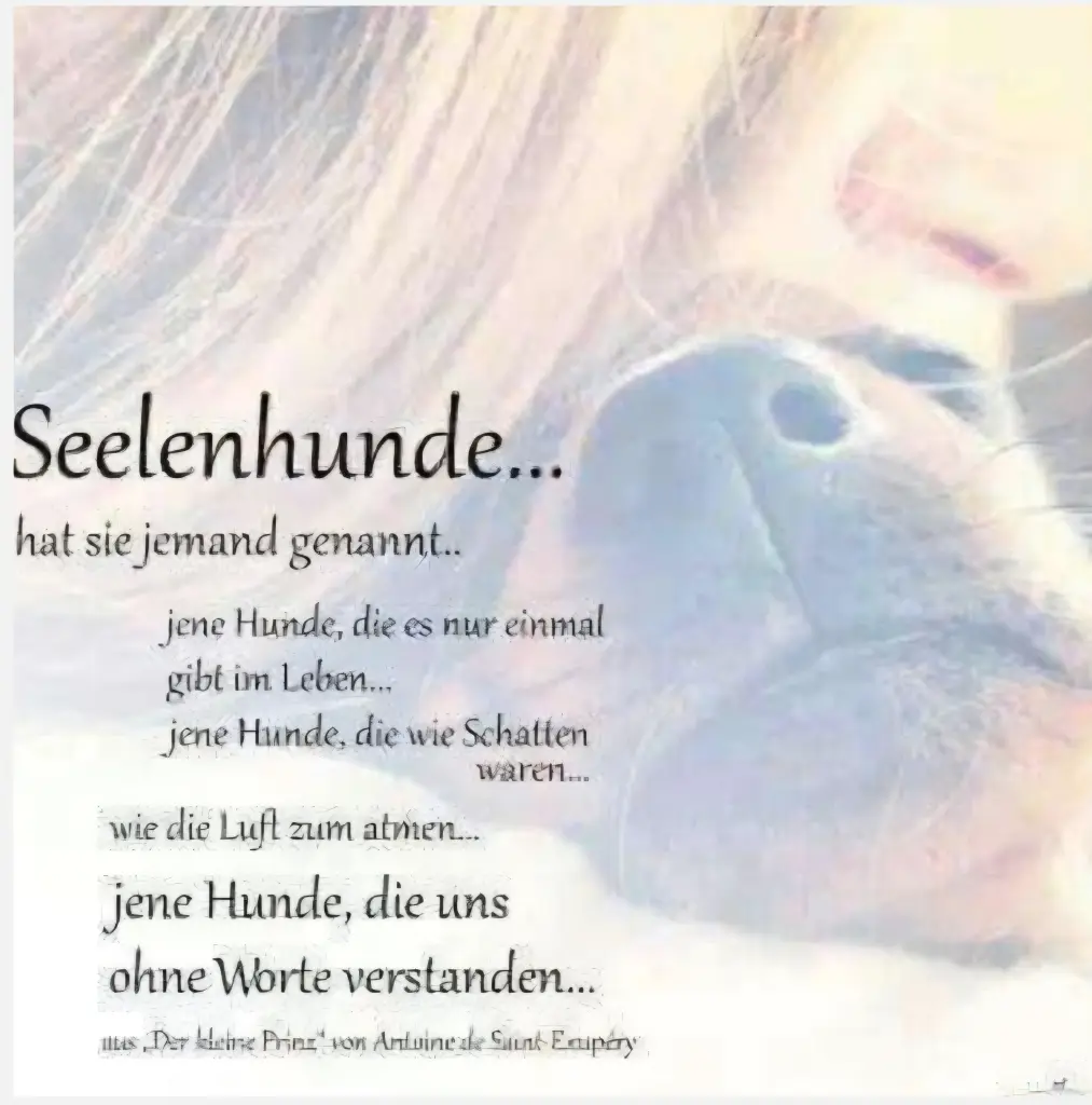 Condolence image of Brit Schmidt