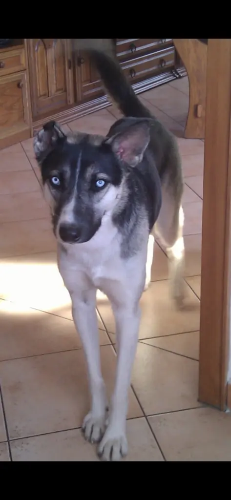 Ü14 Jahre eine treue Maus❤️