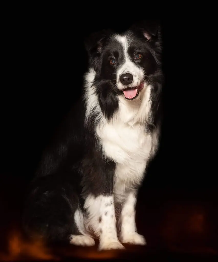 Bild von Lenox