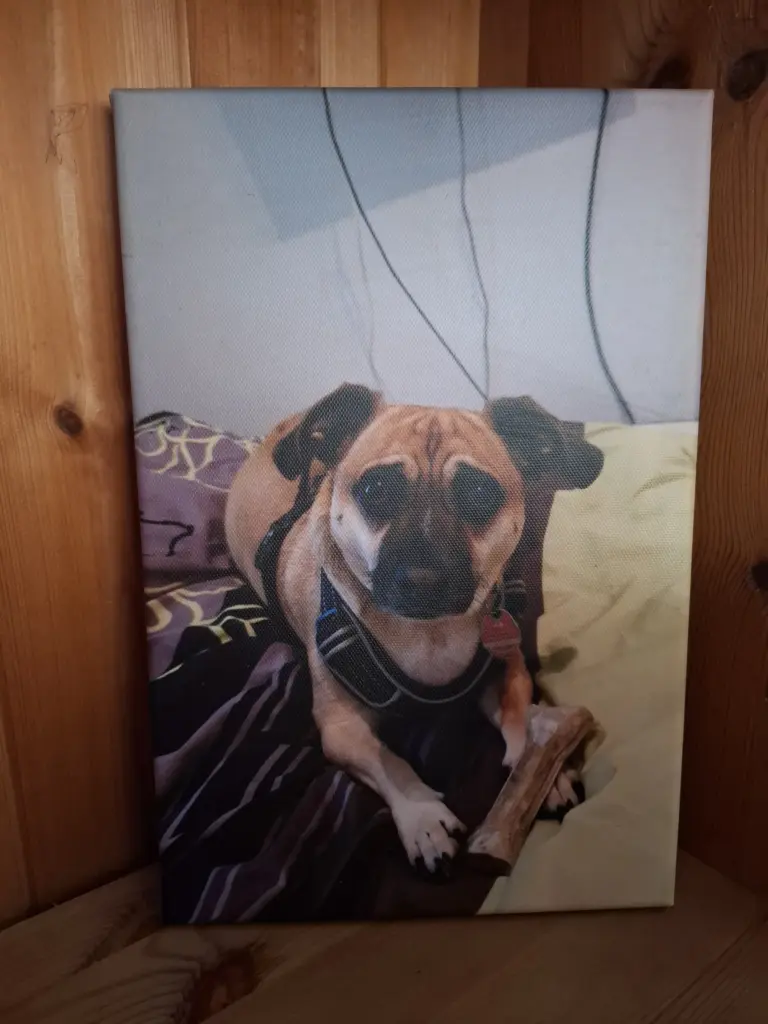 Image from Zorka