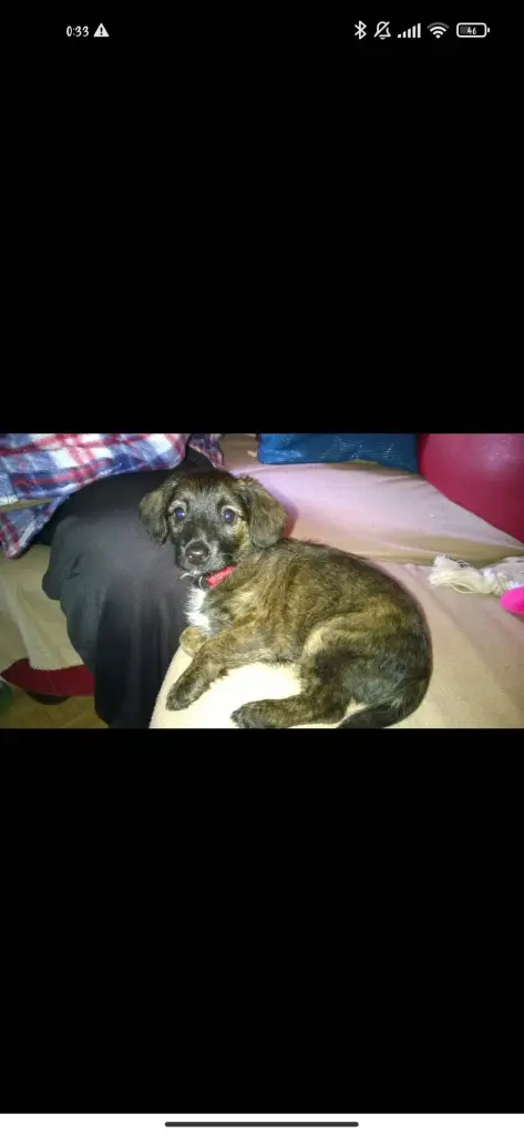 Image from Candy