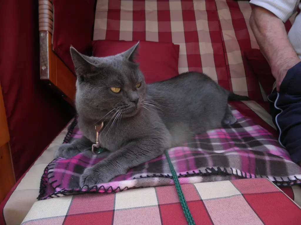 Bild von Bonny