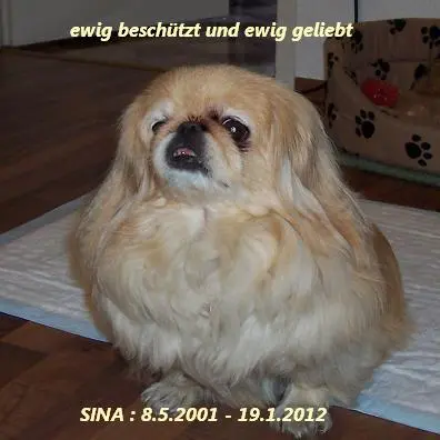 Image from ? meine entzückende Sina ?