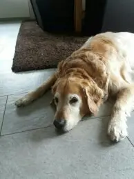 Andachtsbild von Micha mit Cäsar im Herzen