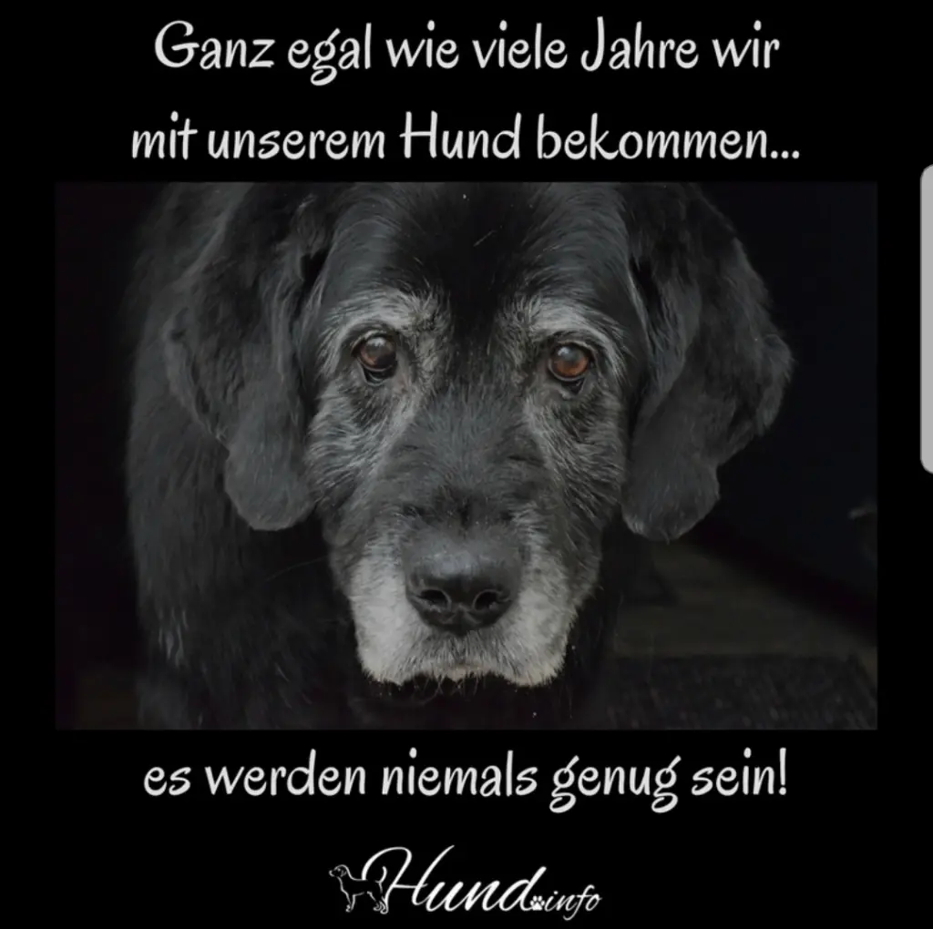 Andachtsbild von Unbekannt