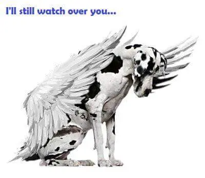 Andachtsbild von Papa & mama