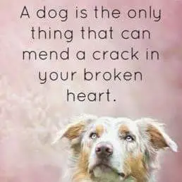 Andachtsbild von ????