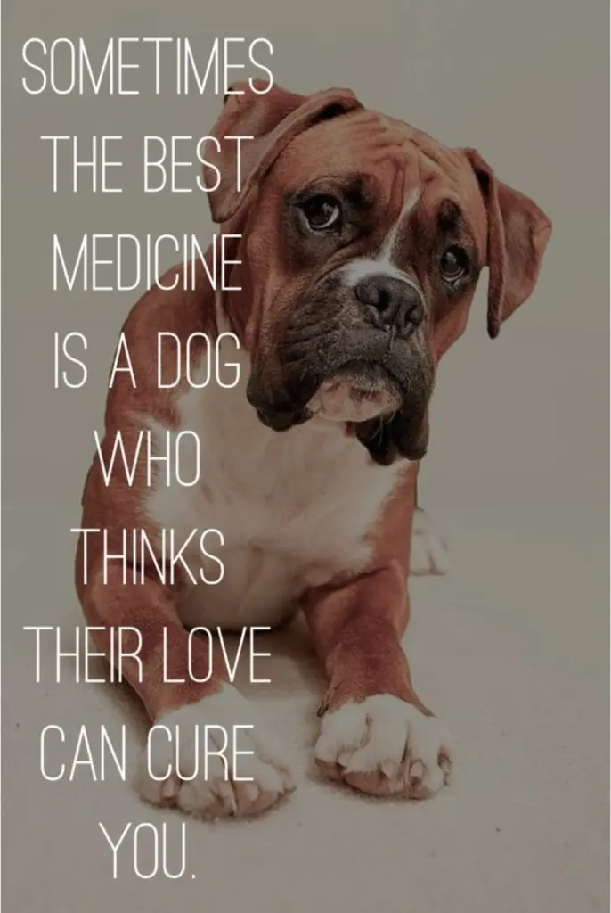 Andachtsbild von Unbekannt