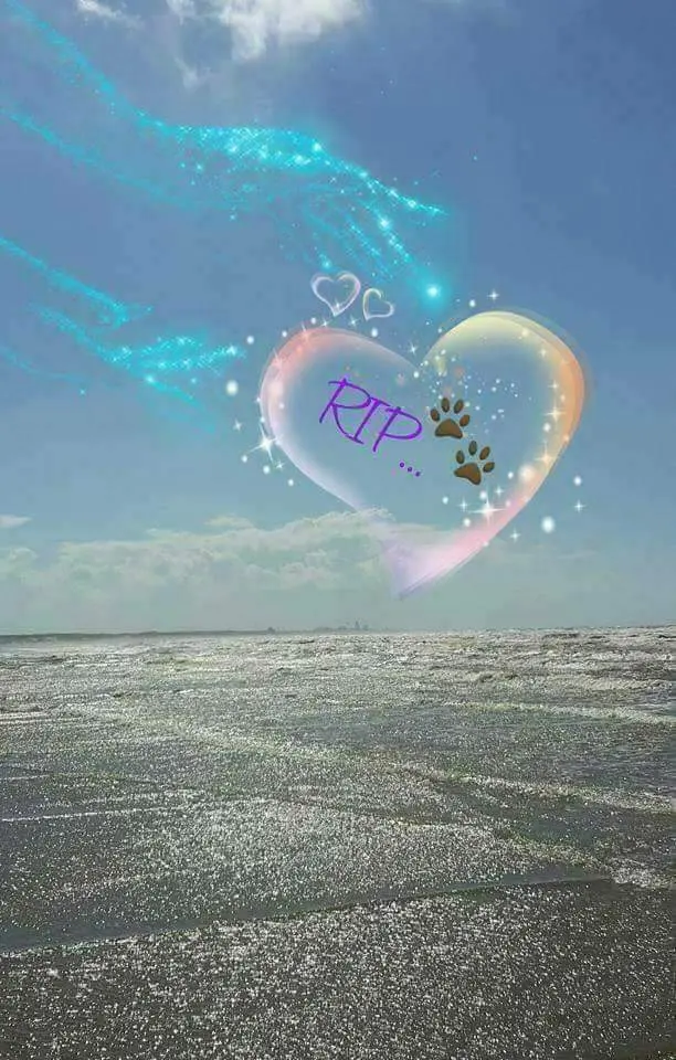 Andachtsbild von Wir ❤