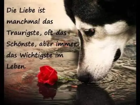 Andachtsbild von Unbekannt