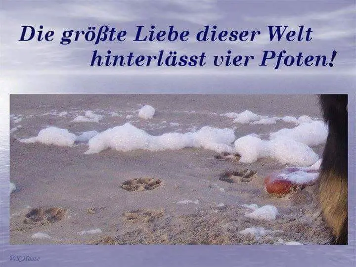 Andachtsbild von Unbekannt