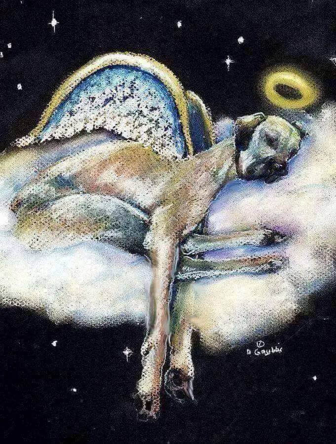 Andachtsbild von Unbekannt