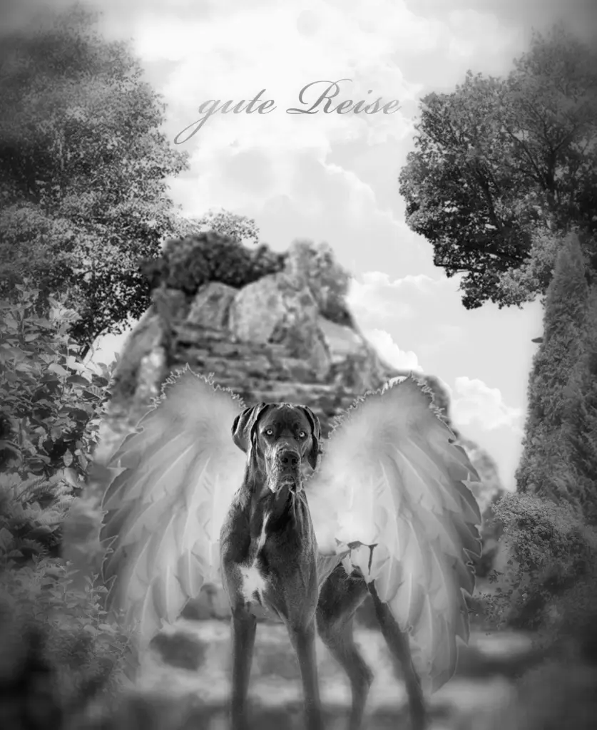 Andachtsbild von Unbekannt