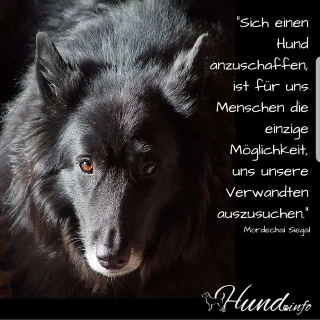 Andachtsbild von Unbekannt