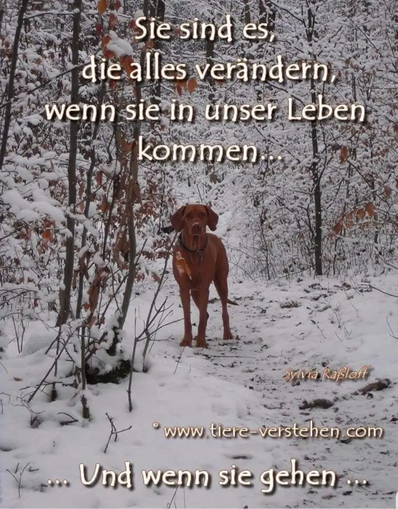 Andachtsbild von ????