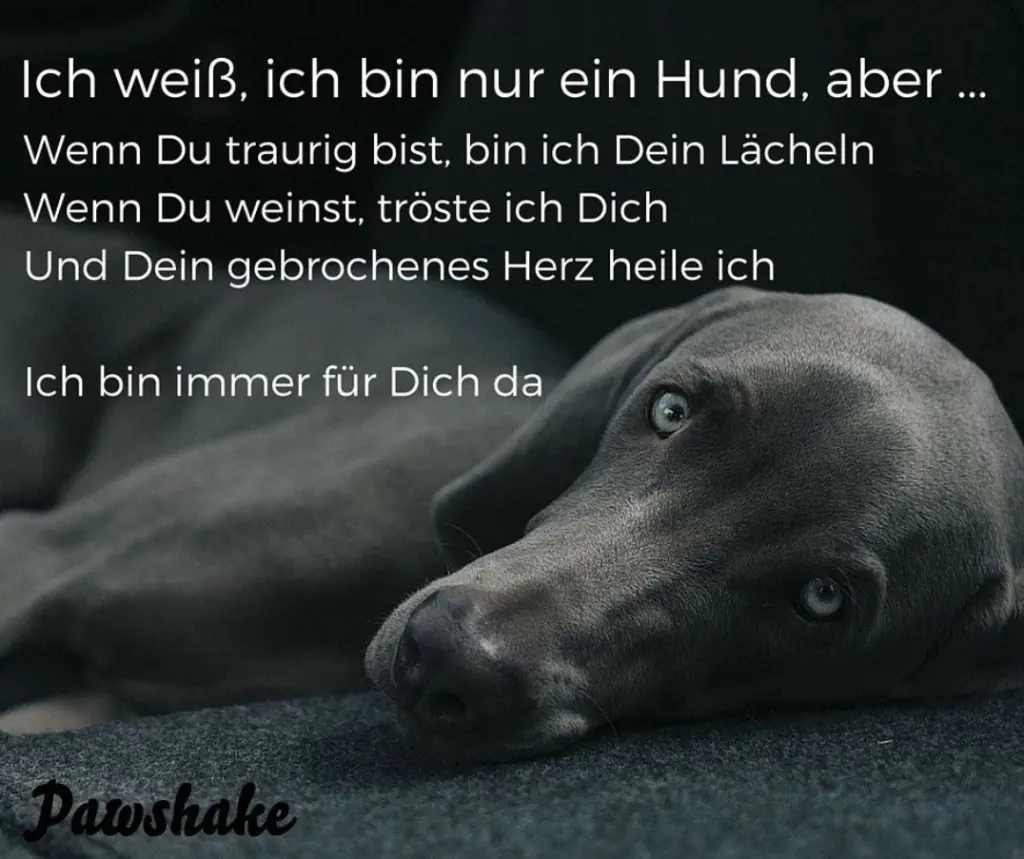 Andachtsbild von Annika