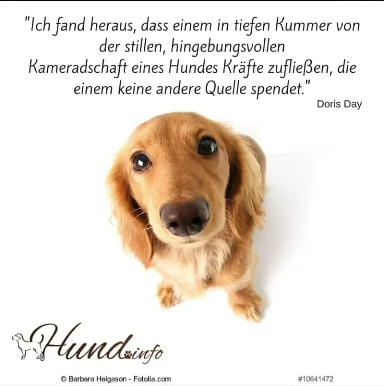 Andachtsbild von Unbekannt