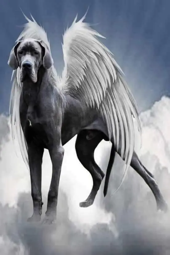 Andachtsbild von ♥