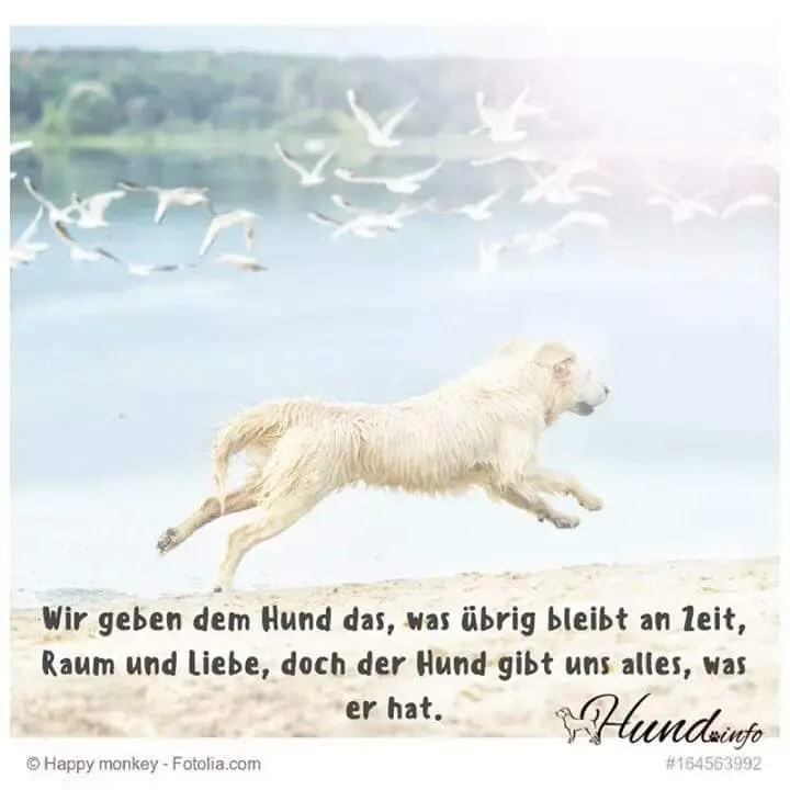 Andachtsbild von Unbekannt