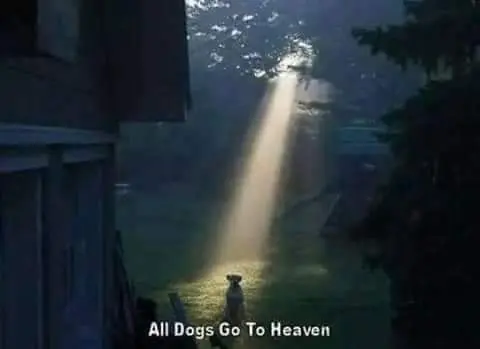 Andachtsbild von Frank 