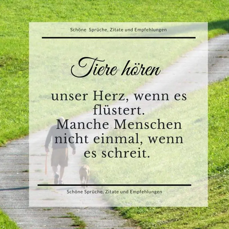 Andachtsbild von Unbekannt