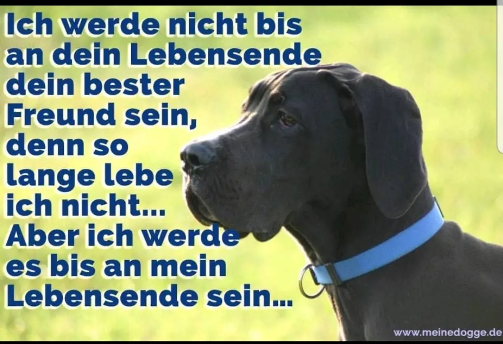 Andachtsbild von Unbekannt