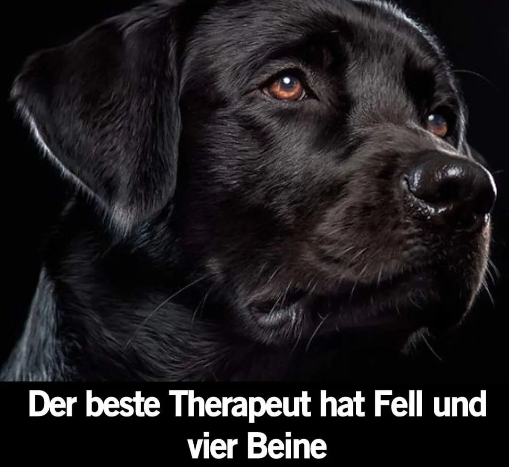 Andachtsbild von Unbekannt