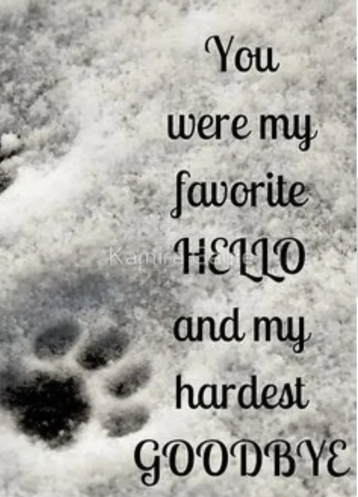 Andachtsbild von Unbekannt