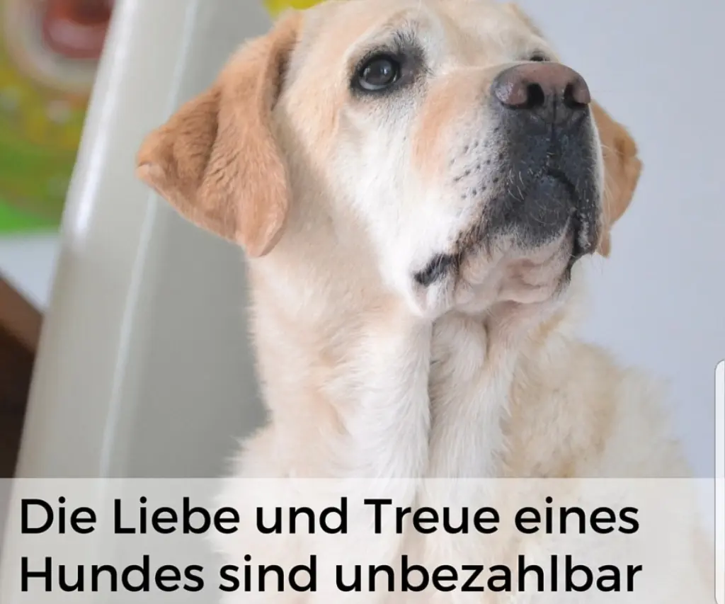 Andachtsbild von Unbekannt