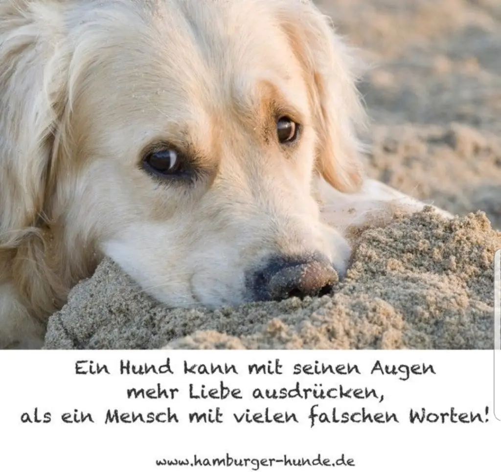 Andachtsbild von Vermisse dich 