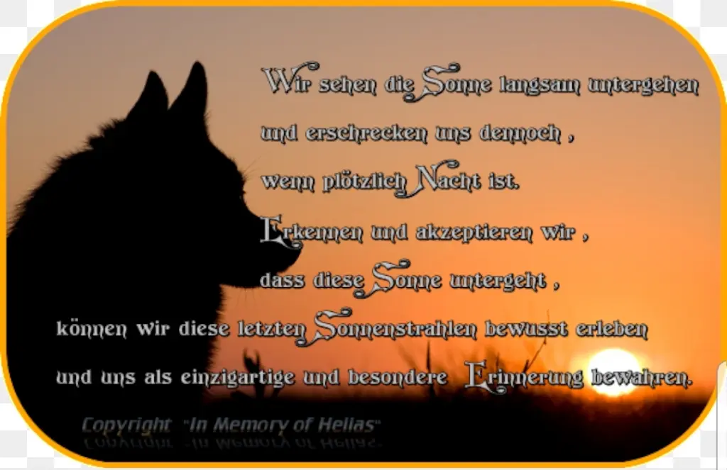 Andachtsbild von Unbekannt