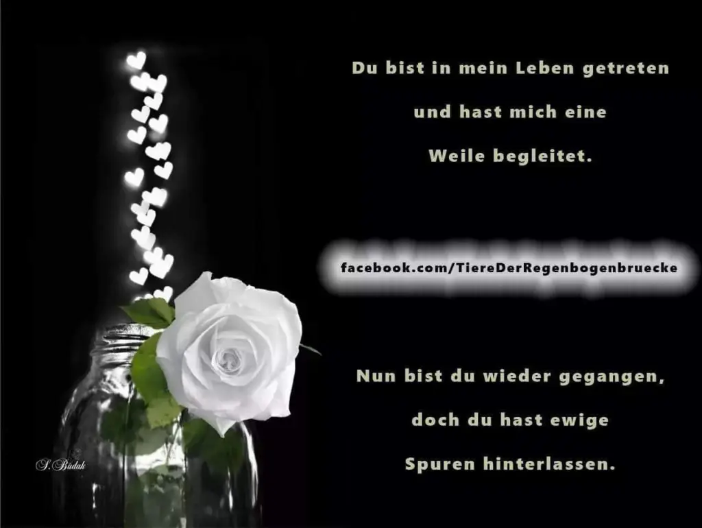 Andachtsbild von Unbekannt