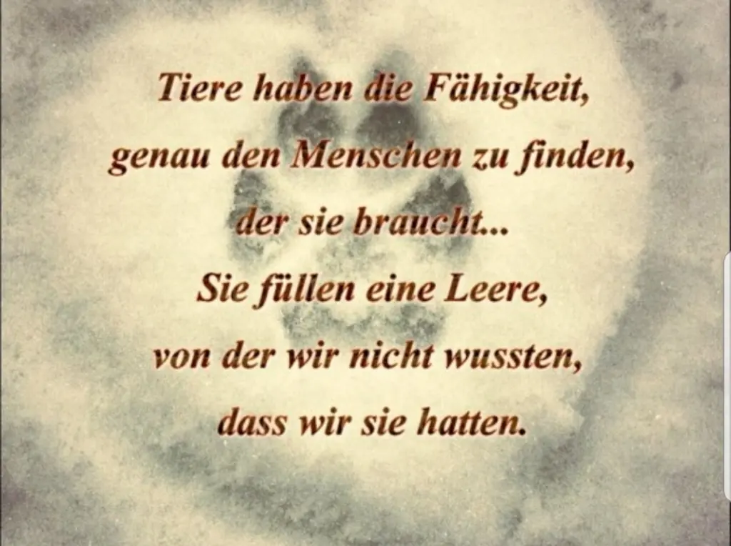 Andachtsbild von Unbekannt