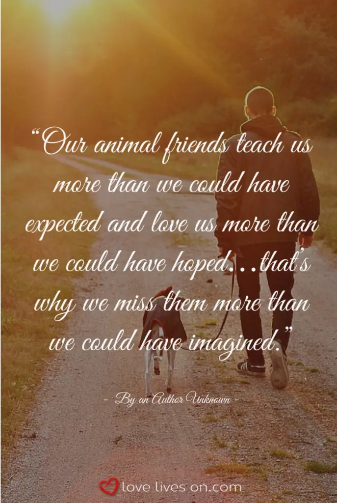 Andachtsbild von Unbekannt