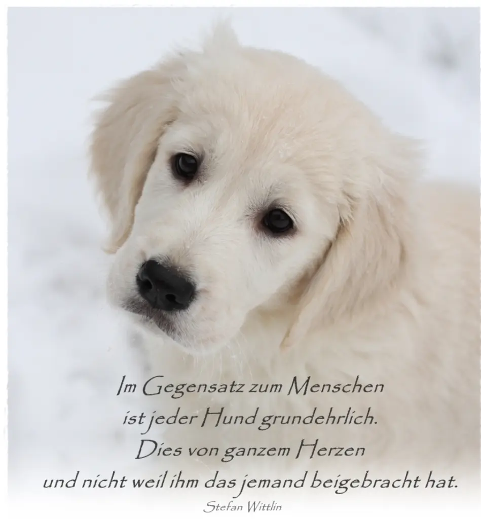 Andachtsbild von Unbekannt