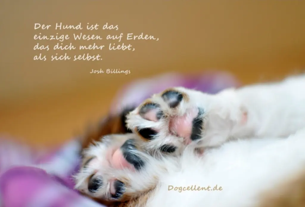 Andachtsbild von Unbekannt