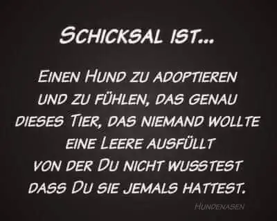 Andachtsbild von Unbekannt