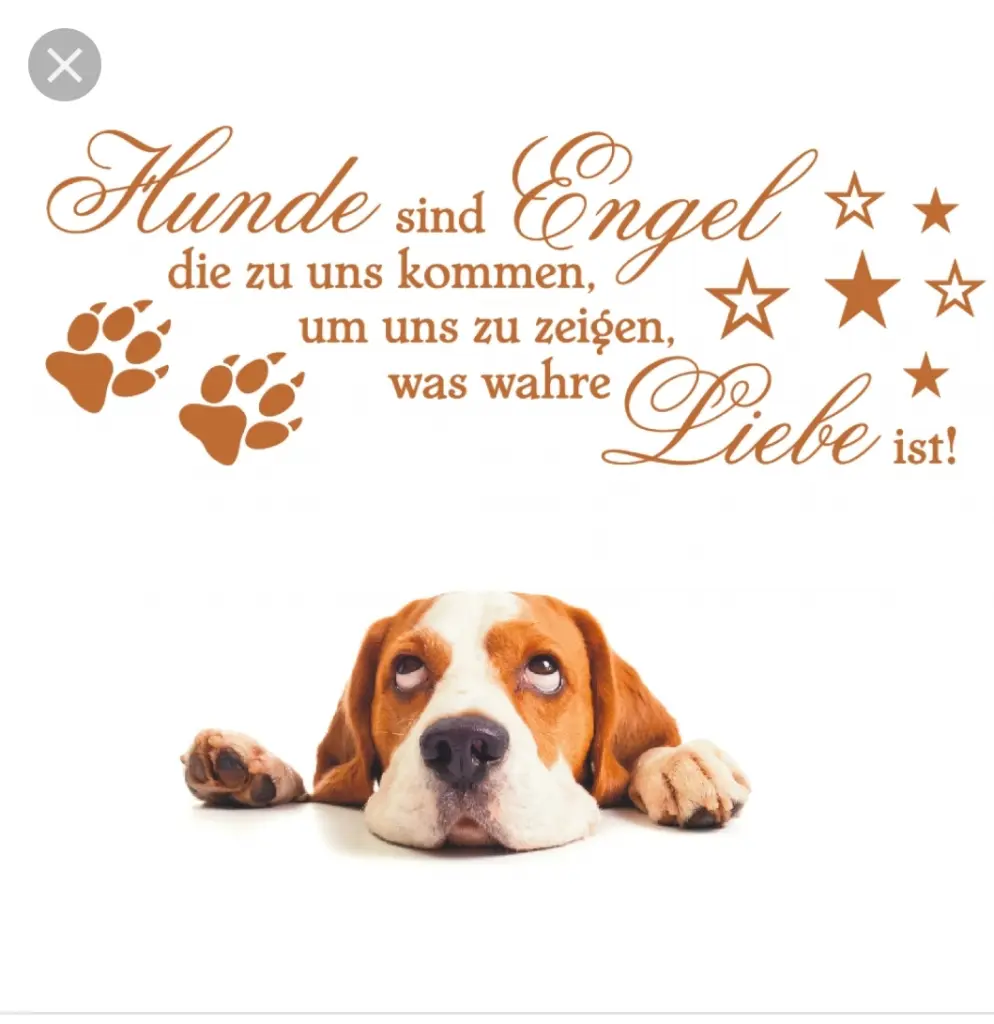 Andachtsbild von Unbekannt