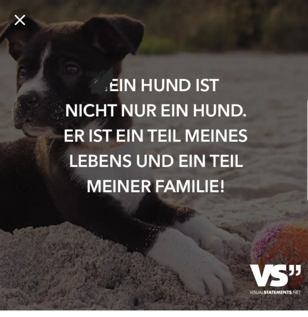 Andachtsbild von Unbekannt