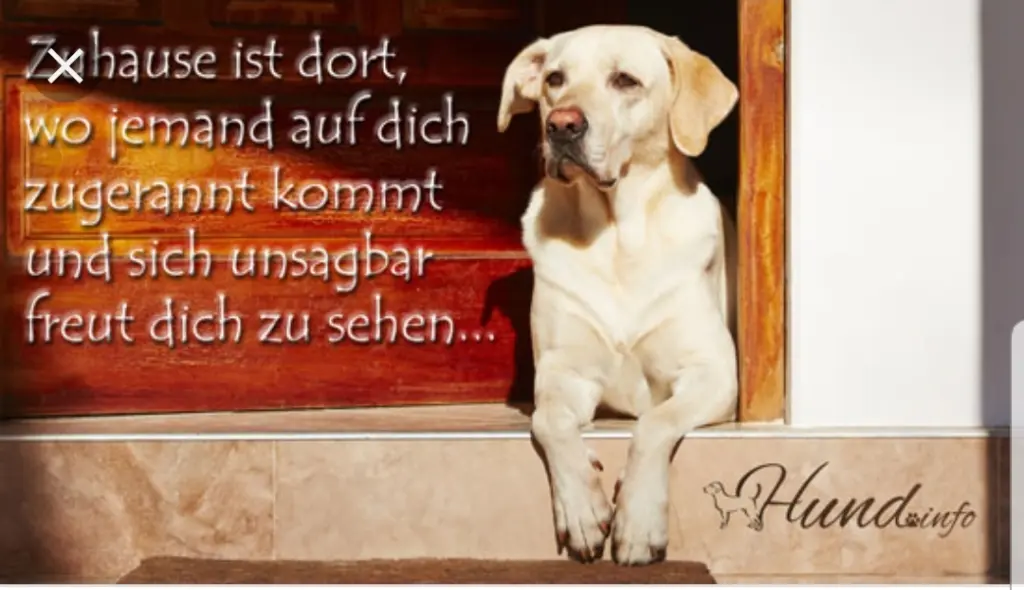 Andachtsbild von Unbekannt