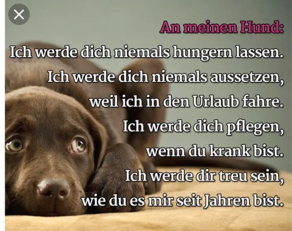 Andachtsbild von Unbekannt