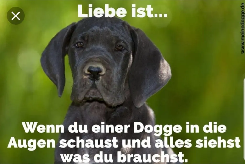 Andachtsbild von Unbekannt