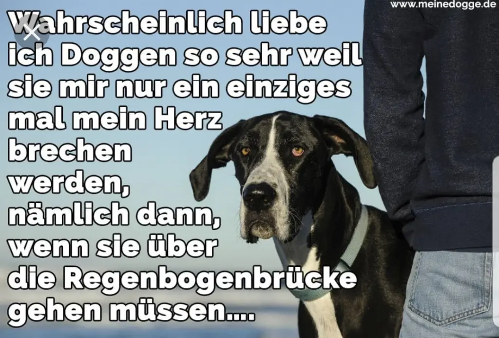 Andachtsbild von Unbekannt