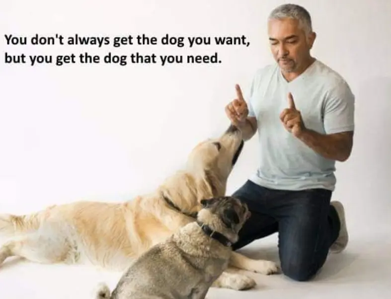 Andachtsbild von Unbekannt